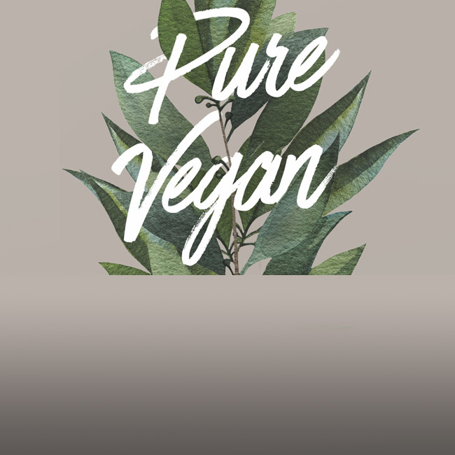 Vegan menu